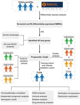 Characterization of neuroendocrine regulation- and metabolism-associated molecular features and prognostic indicators with aid to clinical chemotherapy and immunotherapy of patients with pancreatic cancer